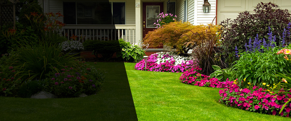 Schuylkill Haven Landscapers